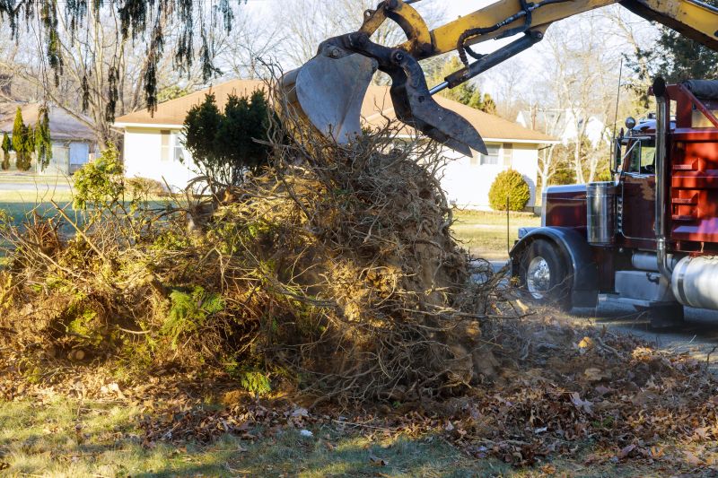 Debris Removal