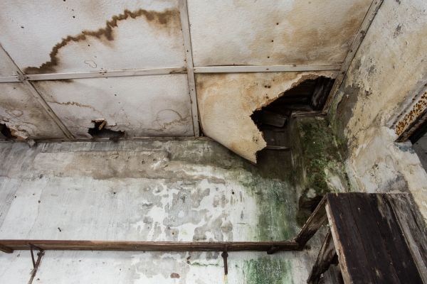 Water Damage Service in Eden Prairie