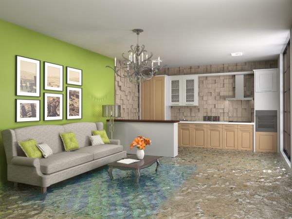 Wet Carpet Drying in Eden Prairie