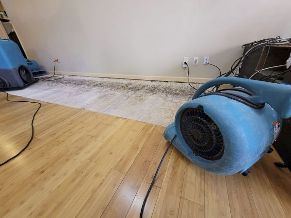 Water Damage Mitigation in Eden Prairie