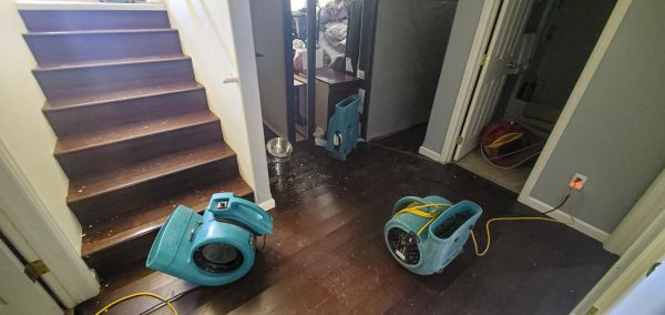 Water Damage Remediation in Eden Prairie