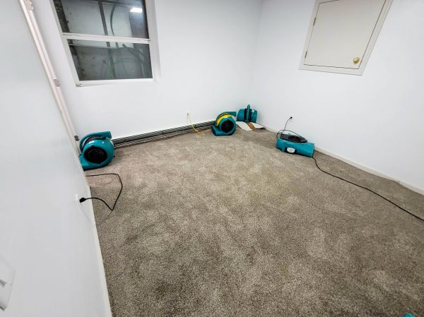 Flood Restoration Service in Eden Prairie
